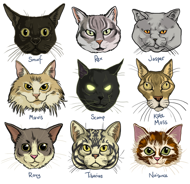 Nine Cats